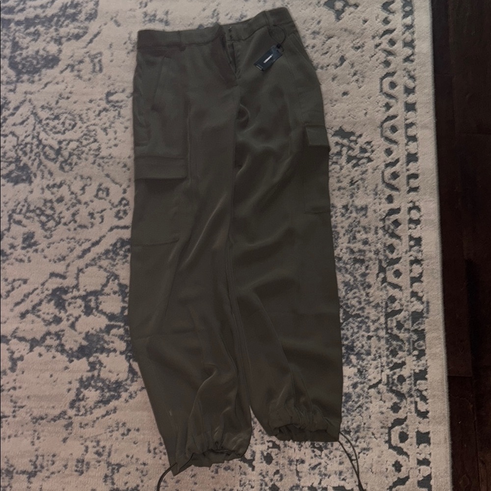 NWT express cargo pants